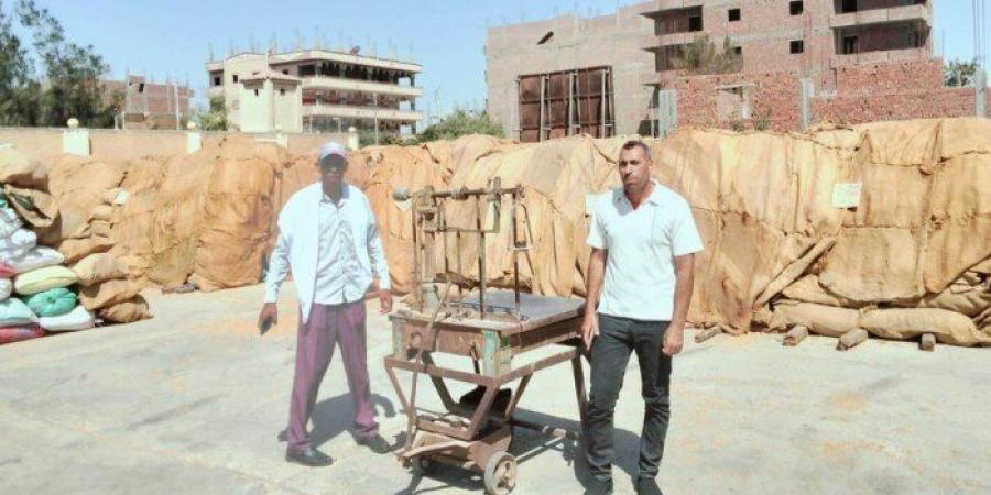 مطاحن أسيوط تتسلم 237 ألف طن قمح منذ انطلاق موسم التوريد - تواصل نيوز