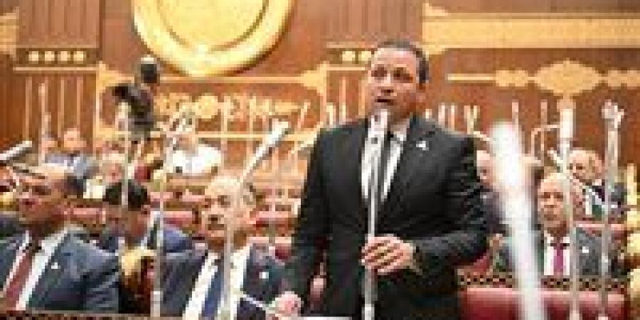 النائب عادل السكري يشيد باستجابة الحكومة لمقترحاته بالتيسير على المواطنين في ملف العدادات الكودية - تواصل نيوز