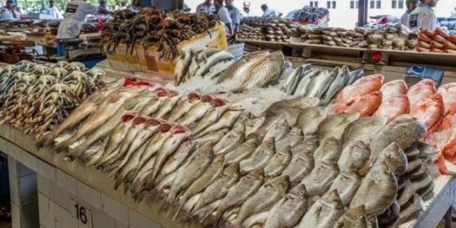 الجمبري بـ 900 جنيه.. أسعار الأسماك اليوم الخميس 11 يونيو 2026 - تواصل نيوز
