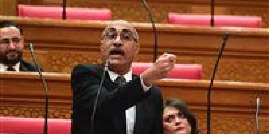 النائب إيهاب منصور لـ تحيا مصر: مكالمات التسويق العقاري العشوائية تحتاج إلى ضوابط حاسمة لحماية المواطنين من النصب والاحتيال - تواصل نيوز