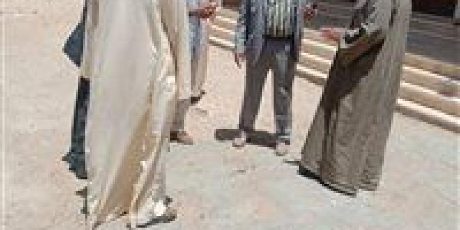 اللجنة المعنية بوضع خريطة استرشادية لتسعير أراضي الدولة تواصل مرورها الميداني بمختلف مراكز بني سويف - تواصل نيوز