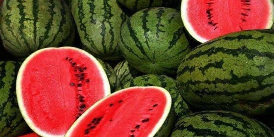 كيف يفيد البطيخ صحة القلب؟ تقرير لـ «فيريويل هيلث» يكشف التفاصيل - تواصل نيوز