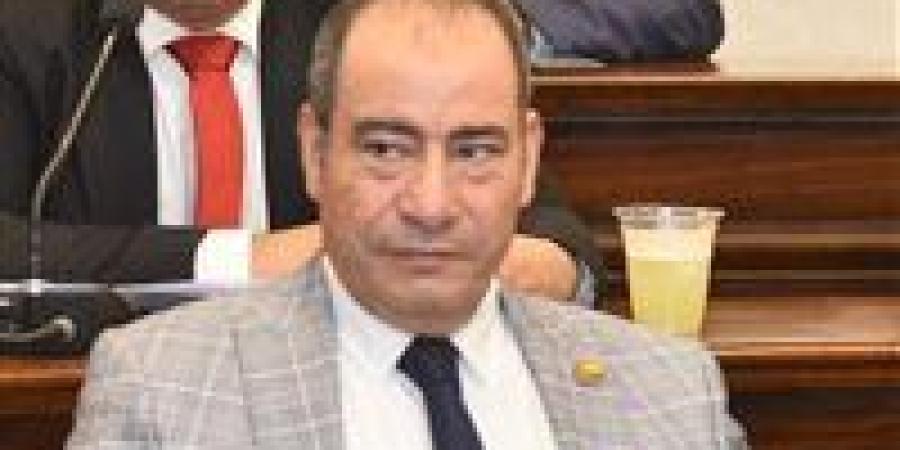 مجاهد نصار: التحركات المصرية تعكس التزامًا راسخًا بدعم القضية الفلسطينية وترسيخ الاستقرار الإقليمي - تواصل نيوز