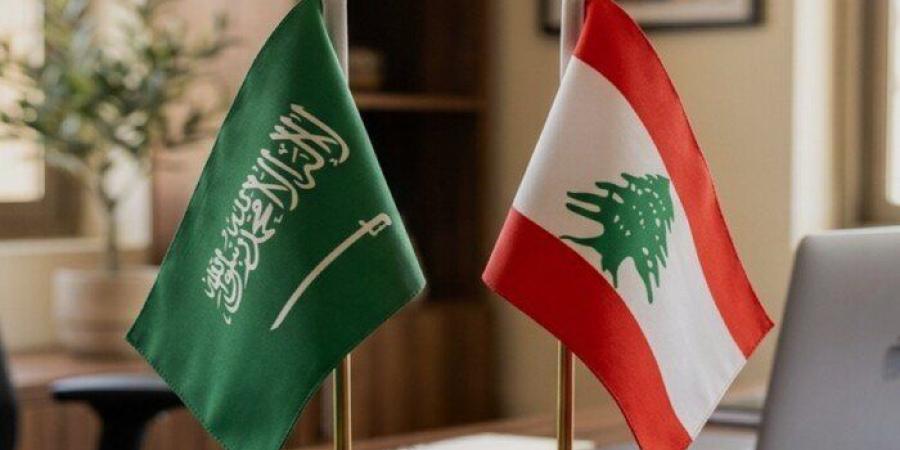 تعاون أمني سعودي - لبناني يحبط تهريب 3.9 ملايين قرص مخدر ويطيح بالمتورطين - تواصل نيوز