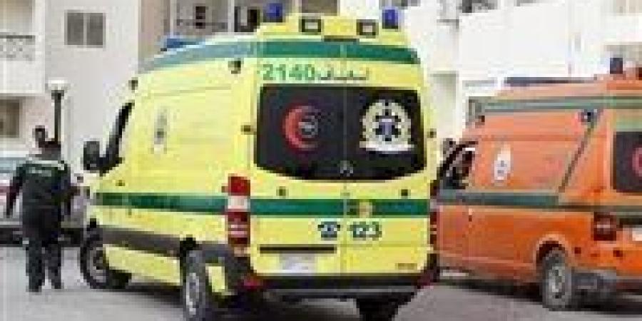 مصرع عامل وإصابة 21 آخرين إثر اختلال عجلة القيادة بسيارة ربع نقل بطريق الفيوم - القاهرة الصحراوي - تواصل نيوز