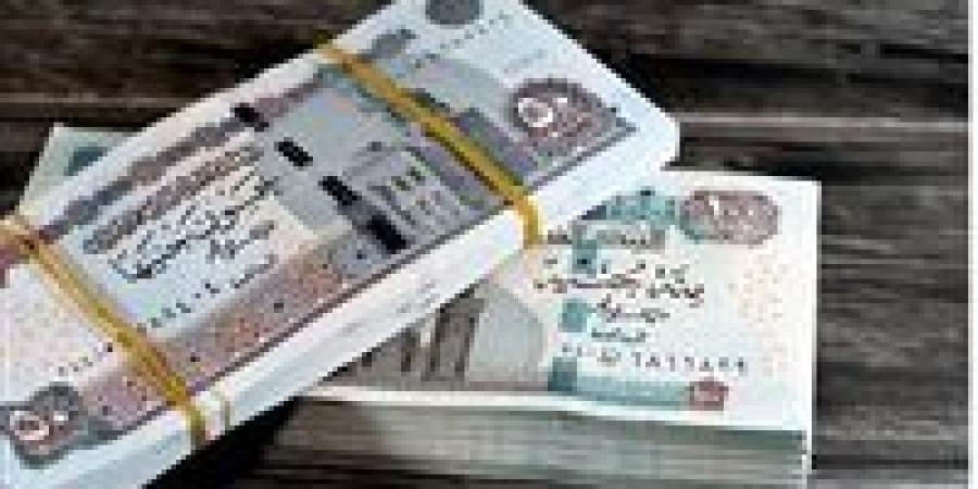 زيادة المعاشات 2026.. موعد التطبيق والفئات المستفيدة - تواصل نيوز