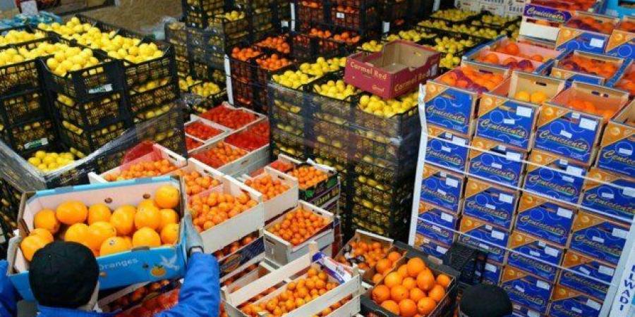 صادرات الصناعات الغذائية المصرية ترتفع 7.1% لتصل إلى 2.43 مليار دولار خلال أول 4 أشهر من 2026 - تواصل نيوز