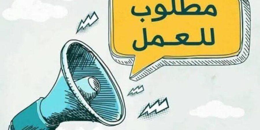 برواتب تصل لـ 12 ألف جنيه.. تفاصيل طرح 1872 فرصة عمل جديدة من الوزارة - تواصل نيوز
