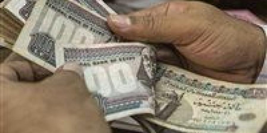 وزارة العمل تعلن توفير 4504 فرصة عمل جديدة خلال يونيو 2026 - تواصل نيوز