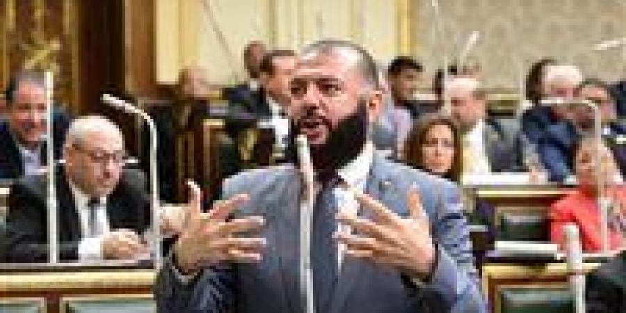 غدًا.. رياضة النواب تناقش طلب إحاطة للنائب أحمد خليل خيرالله بشأن انهيار سور مركز شباب العامرية - تواصل نيوز