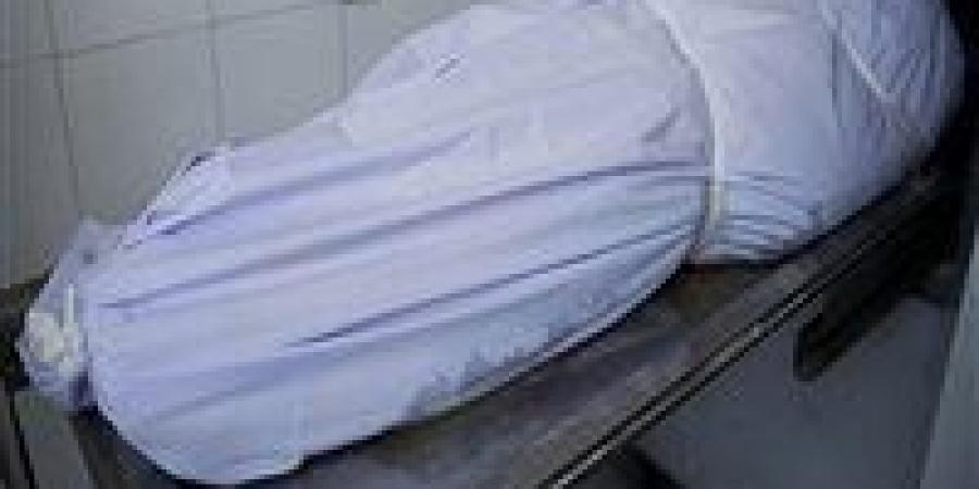 النيابة تكشف ملابسات العثور على جثة بالحوامدية دون شبهة جنائية - تواصل نيوز