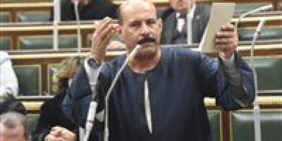 فتحي قنديل: نريد طبق البيض بسعر عادل للمواطن دون الإضرار بالمنتج.. والتوازن هو الحل - تواصل نيوز