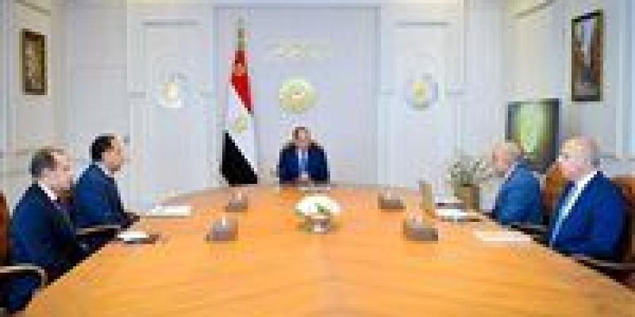 عاجل.. الرئيس السيسي يجتمع مع رئيس الوزراء ووزير الكهرباء - تواصل نيوز