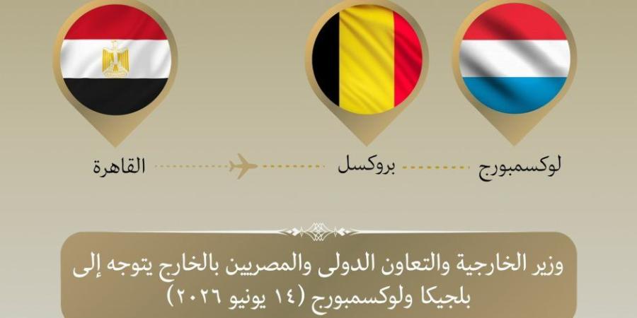 وزير الخارجية المصري يتوجه إلى بلجيكا ولوكسمبورج - تواصل نيوز