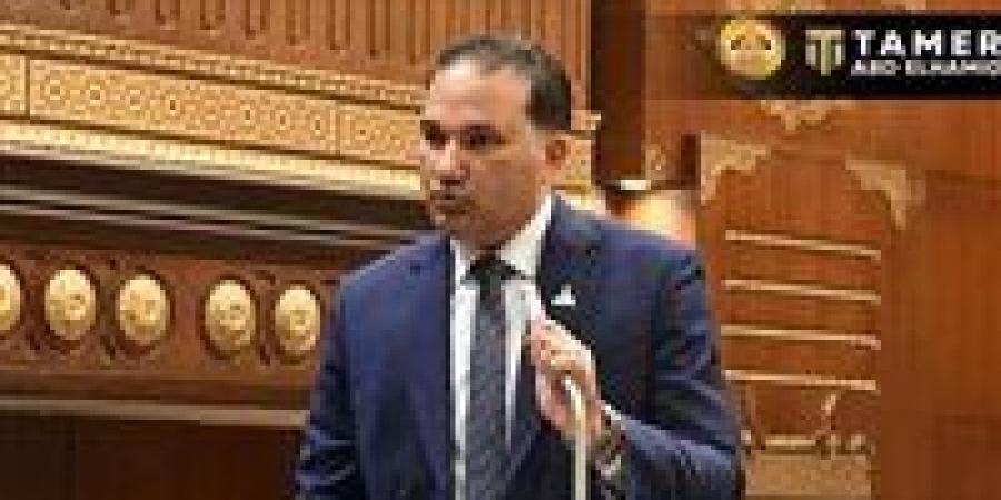 برلماني: الدعم النقدي أكثر كفاءة.. ونجاحه مرهون بالتنفيذ الدقيق - تواصل نيوز