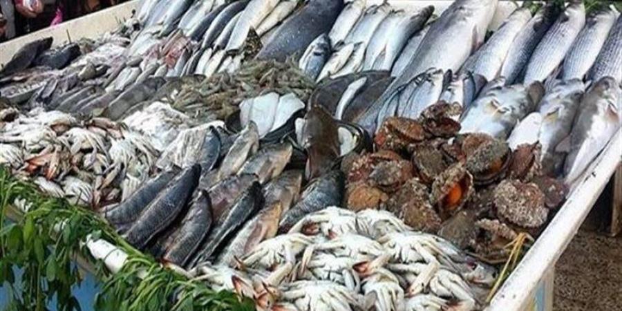 أسعار الأسماك اليوم الإثنين، المكرونة السويسي بـ 130 جنيها وارتفاع جديد في البوري - تواصل نيوز