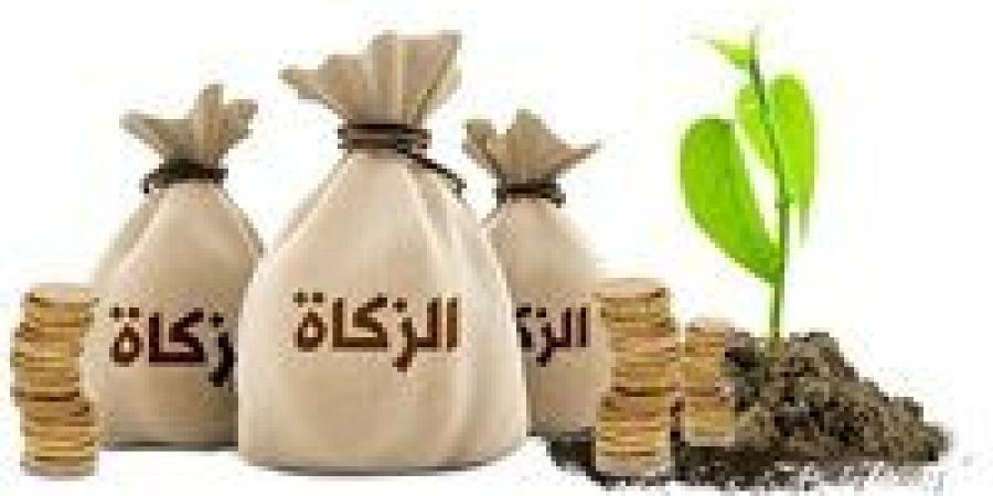 أمين الفتوى بدار الإفتاء المصرية: يجوز للمرأة إخراج زكاة مالها لزوجها الفقير والعكس غير صحيح - تواصل نيوز
