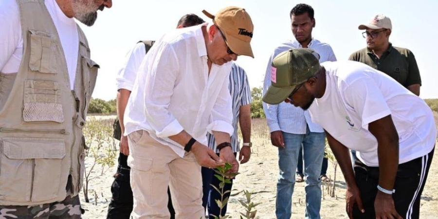 وزير الرى يشارك في الانتهاء من زراعة 50 ألف شجرة منجروف بمنطقة حماطة بمحافظة البحر الأحمر - تواصل نيوز