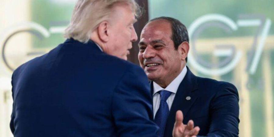 مدير المخابرات المركزية الأمريكية ينقل تحيات «ترامب» إلى الرئيس السيسي.. ماذا قال؟ - تواصل نيوز