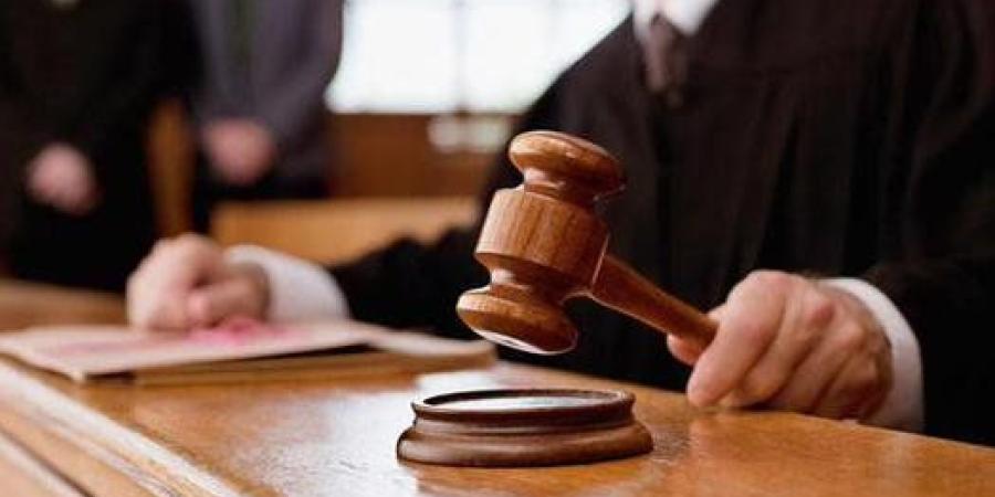 تأجيل محاكمة 32 متهمًا في قضية «خلية اللجان المالية» لهذا الموعد - تواصل نيوز