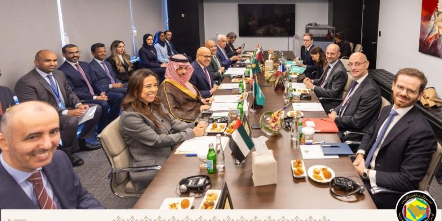 البديوي: الشراكة الخليجية - الفرنسية ركيزة مهمة لتعزيز الأمن والاستقرار - تواصل نيوز