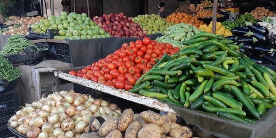 بعد وصولها إلى 15 جنيها.. شعبة الخضراوات توضح أسعار الطماطم في الأسواق.. وهذه أبرز التحركات السعرية وموعد الانخفاض - تواصل نيوز