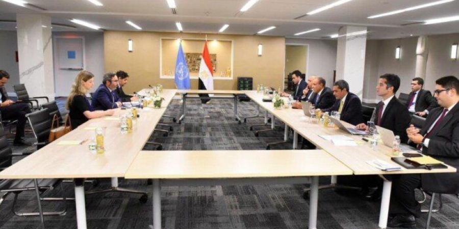 مصر تؤكد دعمها للجهود الرامية إلى إصلاح منظومة الأمم المتحدة - تواصل نيوز