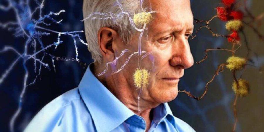 اليوم العالمي للزهايمر.. 5 علامات تتجاوز فقدان الذاكرة وتستدعي الانتباه - تواصل نيوز