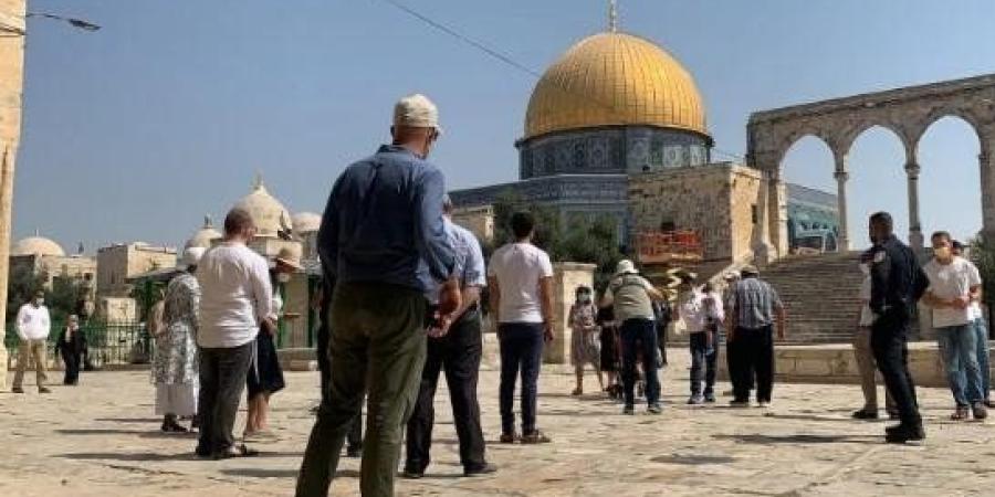 458 مستعمرا يقتحمون المسجد الأقصى بحماية من قوات الاحتلال الإسرائيلي - تواصل نيوز