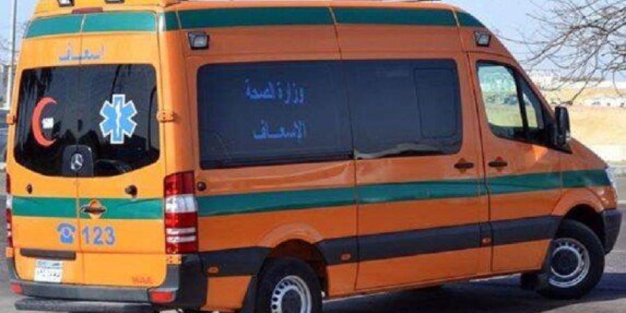 مبدائيًا.. إصابة 10 أشخاص في حادث تصادم «ملاكي وميكروباص» بصحراوي المنيا - تواصل نيوز