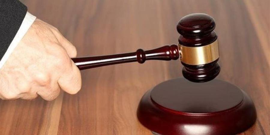"سنجة" وضرب وركل، حيثيات تأييد المشدد لمتهمين حاولا سرقة محمول من طفل بالشيخ زايد - تواصل نيوز