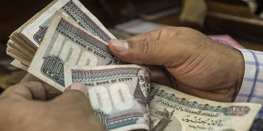 «رفع أم تثبيت».. ماذا ينتظر أسعار الفائدة في اجتماع البنك المركزي المصري يوم الخميس؟ - تواصل نيوز