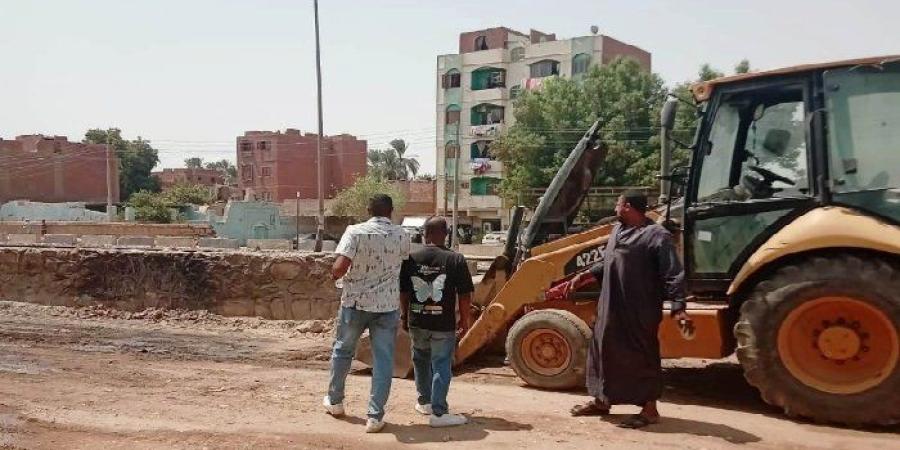 أسوان بشبابها أجمل.. مبادرات أهلية لتجميل الأحياء وتكثيف أعمال النظافة - تواصل نيوز