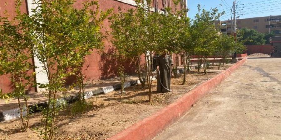 محافظ قنا يوجه بالتوسع في التشجير.. زراعة 35 شجرة كينو كاربس وتوعية 60 من النشء بأهمية الحفاظ على الأشجار - تواصل نيوز
