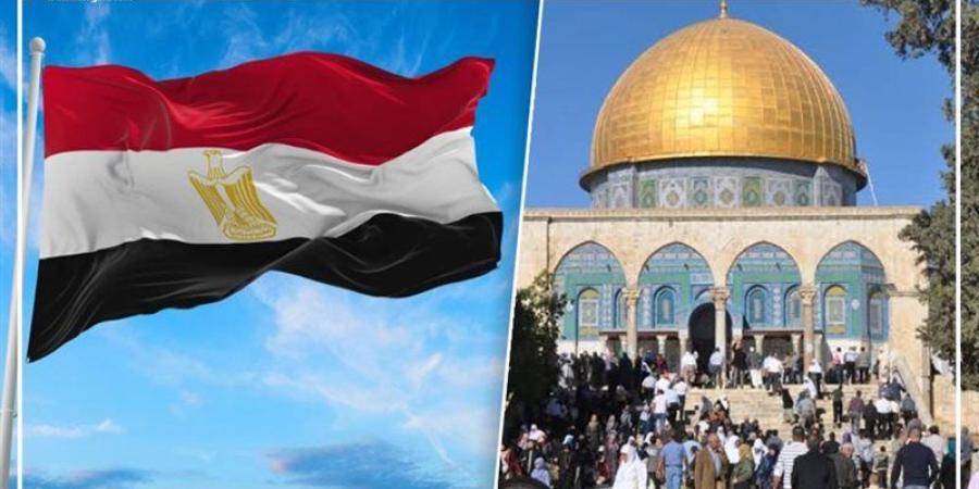 مصر تدين اقتحام المسجد الأقصى وتحذر من تغيير الوضع التاريخي والقانوني - تواصل نيوز