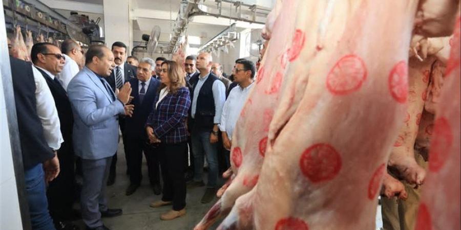 وزيرة التنمية المحلية ومحافظ الدقهلية يفتتحان تطوير مجزر بلقاس - تواصل نيوز