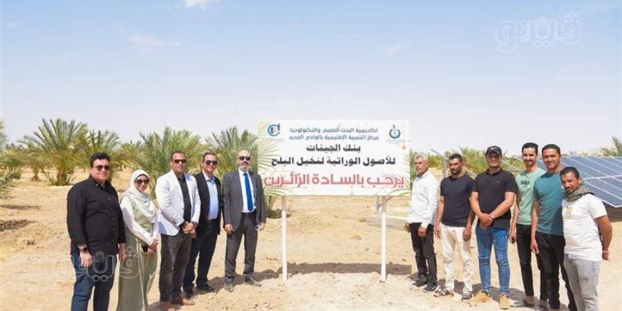 بنك جينات النخيل والطاقة الشمسية.. تفاصيل جولة أكاديمية البحث العلمي بالوادي الجديد - تواصل نيوز