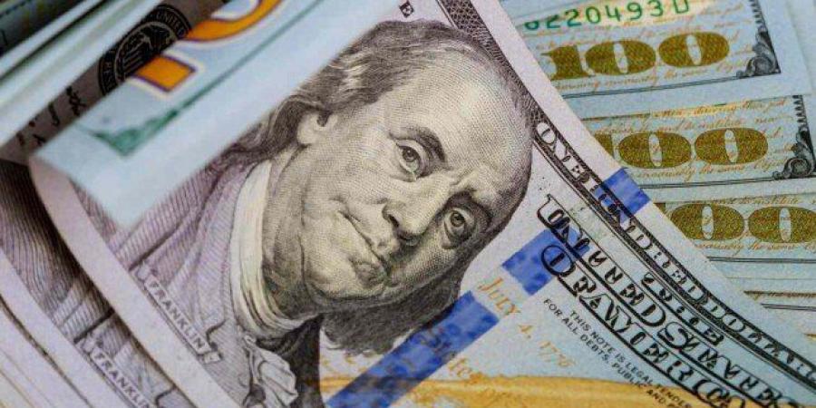 المركزي: 29.7 مليار دولار إجمالي تحويلات المصريين العاملين بالخارج خلال 7 أشهر - تواصل نيوز