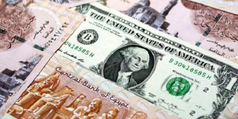 الجنيه يقاوم الهبوط.. سعر الدولار في مصر اليوم الإثنين 21 سبتمبر 2026 - تواصل نيوز