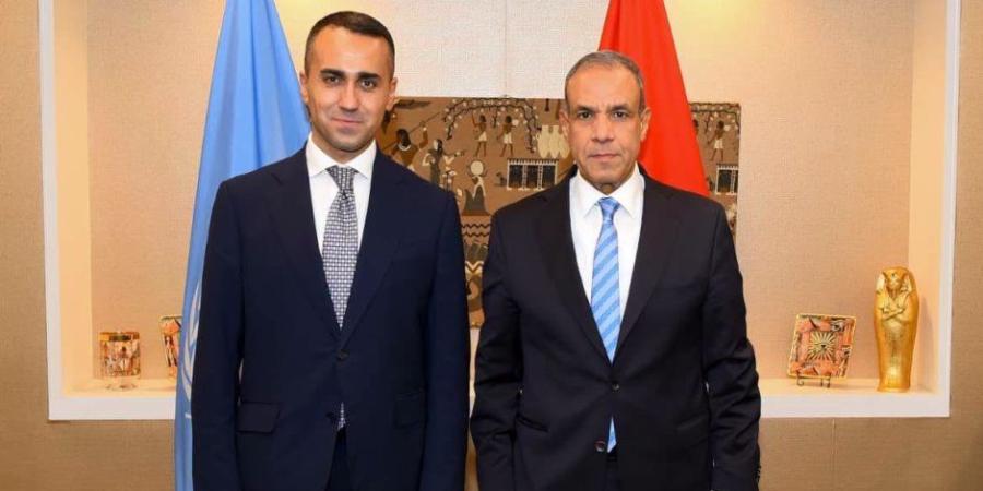 وزير الخارجية يلتقي بالمبعوث الأوروبي الخاص لمنطقة الخليج - تواصل نيوز