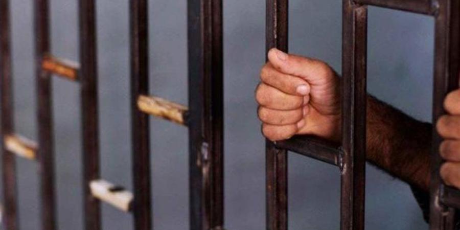غدا،استكمال محاكمة سيد مشاغب و5 آخرين بالتجمهر وحيازة ألعاب نارية ببولاق الدكرور - تواصل نيوز