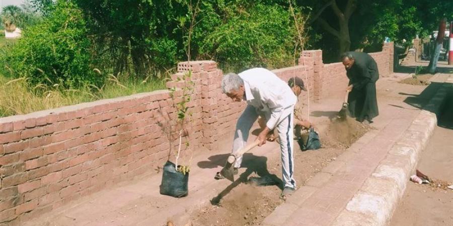 محافظ قنا يوجه بالتوسع في التشجير وزيادة المساحات الخضراء ودعم مبادرة "100 مليون شجرة" - تواصل نيوز