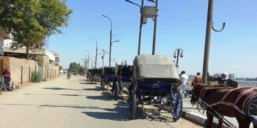 محافظ أسوان يوجه بتنظيم عربات الحنطور بإدفو.. أكواد موحدة ومنع قيادة الأطفال - تواصل نيوز