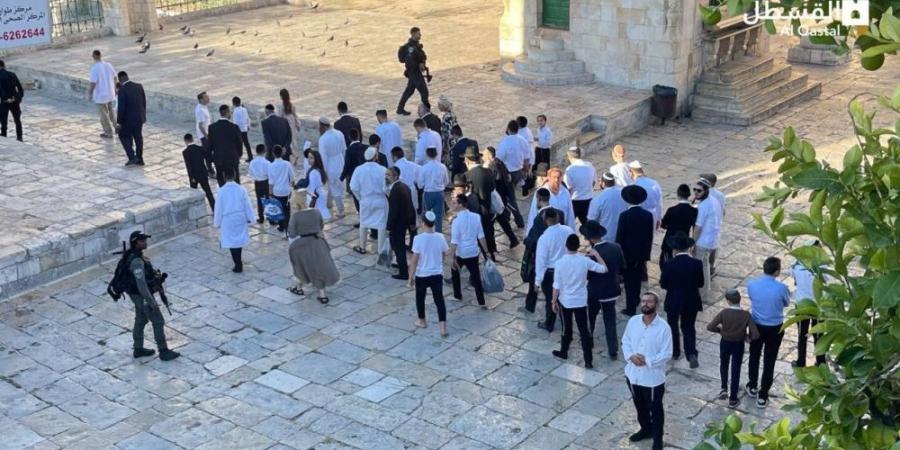 تصعيد خطير.. البرلمان العربي يدين اقتحامات المسجد الأقصى - تواصل نيوز