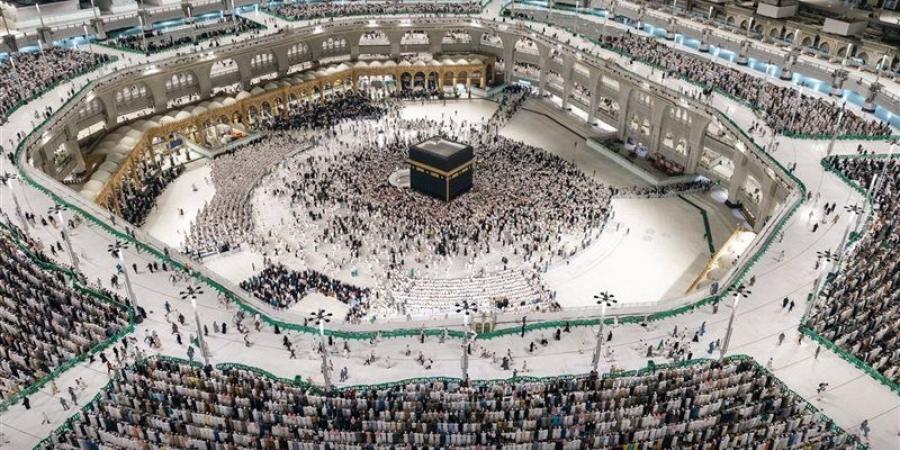 لجان السياحة تواصل المتابعة الميدانية لتنفيذ برامج العمرة بالأراضي المقدسة - تواصل نيوز