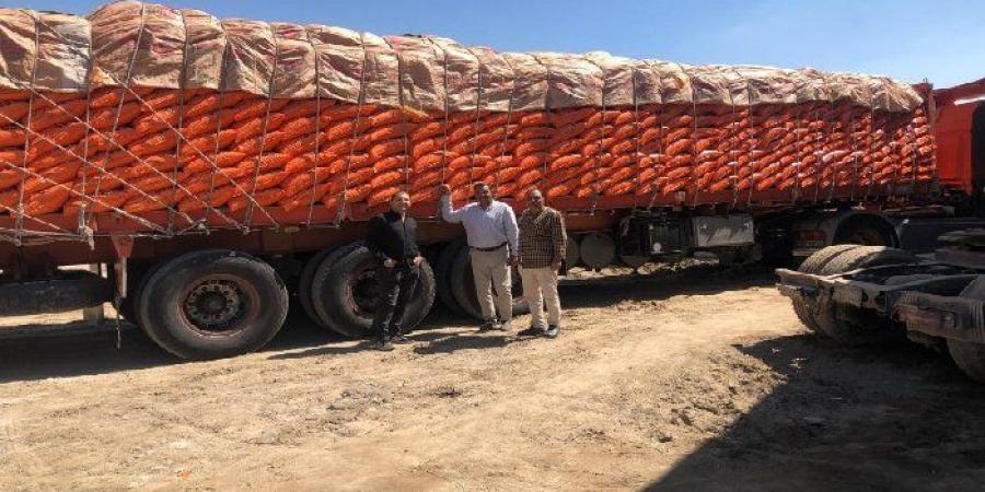 ضبط 60 طن سماد نترات نشادر مدعم قبل تهريبها للسوق السوداء بالفيوم. - تواصل نيوز