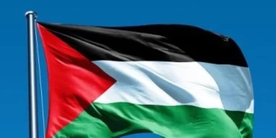 عضو بـ«التحرير الفلسطينية» يثمن موقف مصر التاريخى لدعم القضية الفلسطينية - تواصل نيوز
