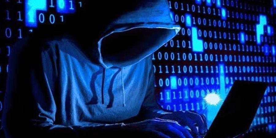 تقرير حديث يرصد برمجية فدية تستولي على أجهزة المؤسسات دون تشفير الملفات - تواصل نيوز
