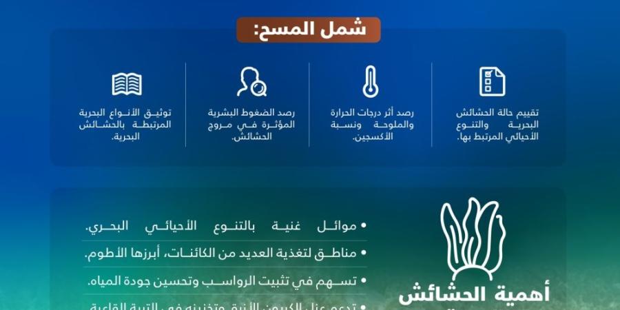 مسح للحشائش البحرية على ساحل الخليج السعودي يرصد موائل الأطوم - تواصل نيوز