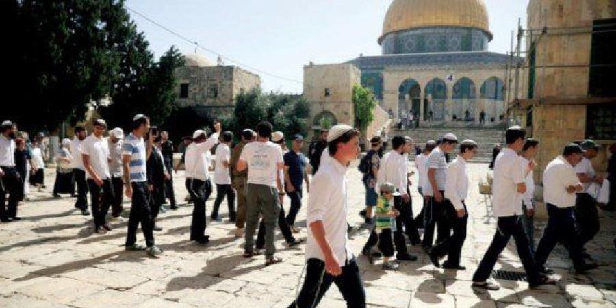 خلال يومين.. 1678 مستوطنًا يقتحمون المسجد الأقصى وتصعيد لفرض وقائع جديدة داخله - تواصل نيوز